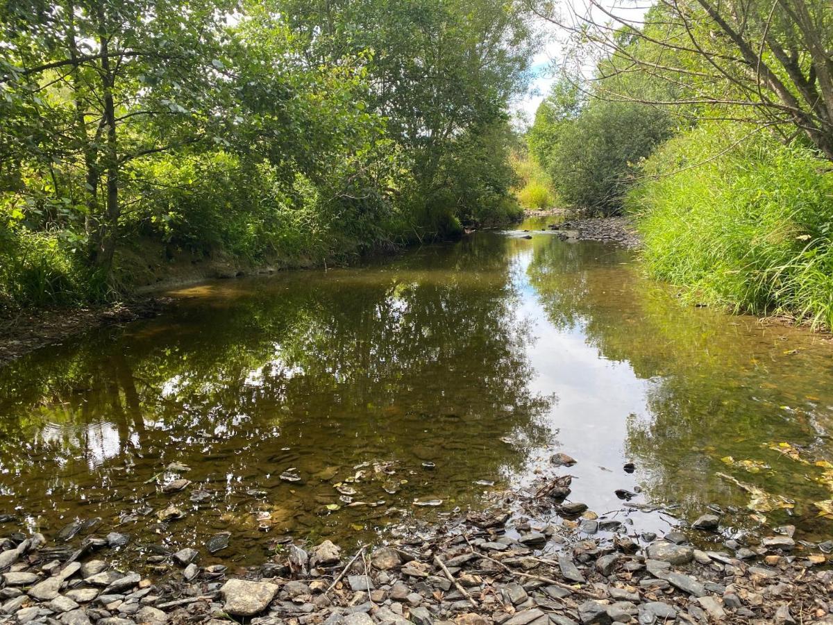 Le Heron - Gite De Charme Cloture, Acces A La Riviere - 6 Ou 10 Personnes Fauvillers Exteriör bild